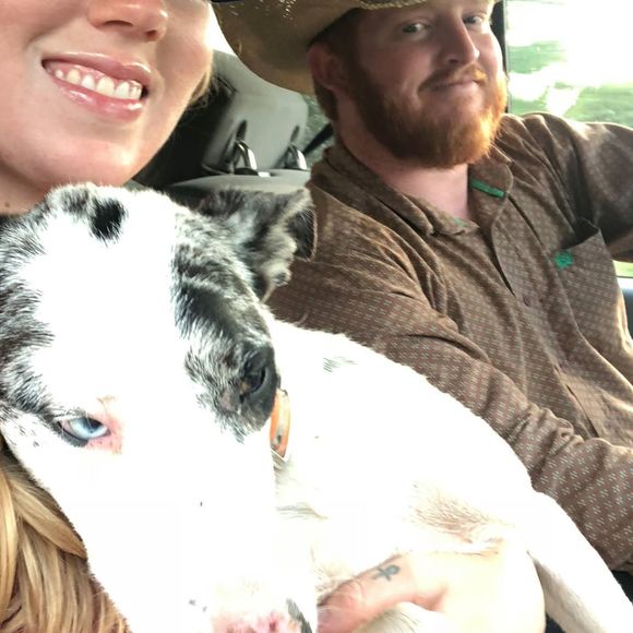 Meet your Posher, Samantha - Picture 1 of 1